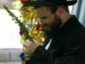 סוכות